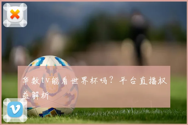 华数tv能看世界杯吗?平台直播权益解析