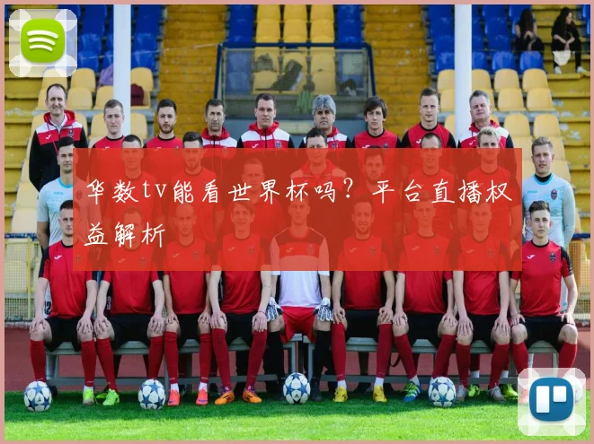 华数tv能看世界杯吗?平台直播权益解析