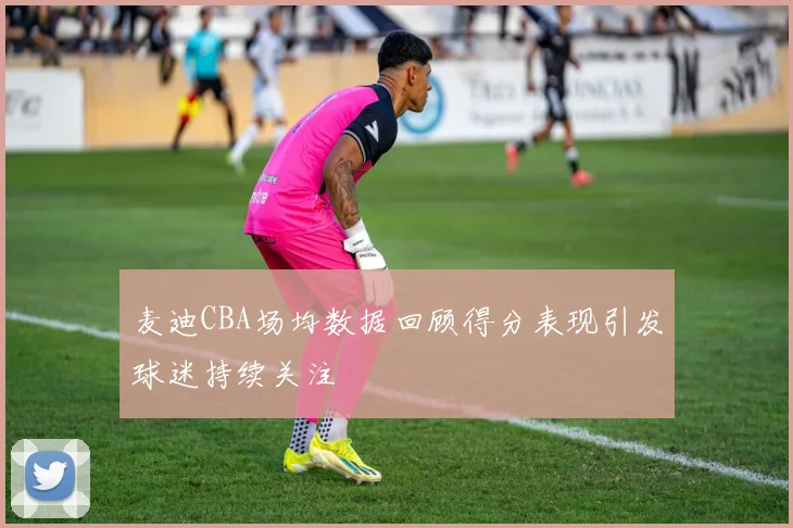 麦迪CBA场均数据回顾得分表现引发球迷持续关注
