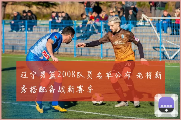 辽宁男篮2008队员名单公布 老将新秀搭配备战新赛季