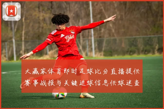 大赢家体育即时足球比分直播提供赛事战报与关键进球信息供球迷查看