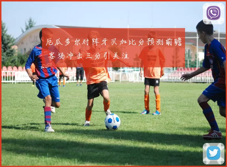 厄瓜多尔对阵牙买加比分预测前瞻 客场冲击三分引关注
