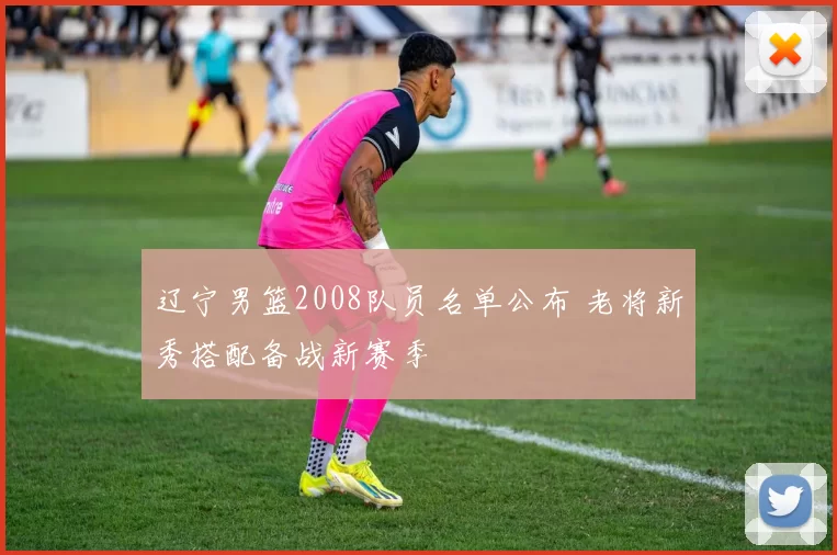 辽宁男篮2008队员名单公布 老将新秀搭配备战新赛季