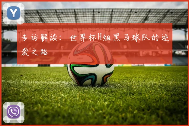 专访解读:世界杯H组黑马球队的逆袭之路