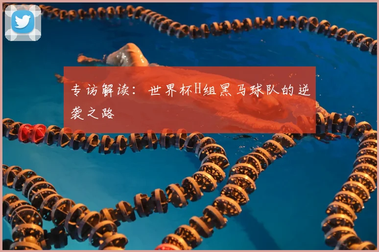 专访解读:世界杯H组黑马球队的逆袭之路