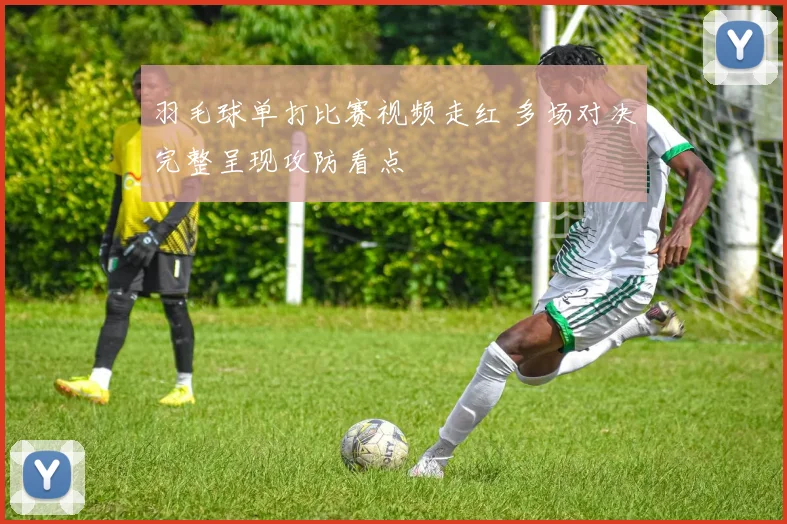 羽毛球单打比赛视频走红 多场对决完整呈现攻防看点