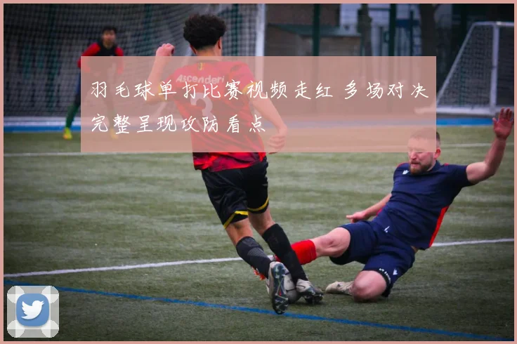 羽毛球单打比赛视频走红 多场对决完整呈现攻防看点