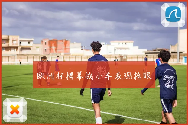 欧洲杯揭幕战小车表现抢眼