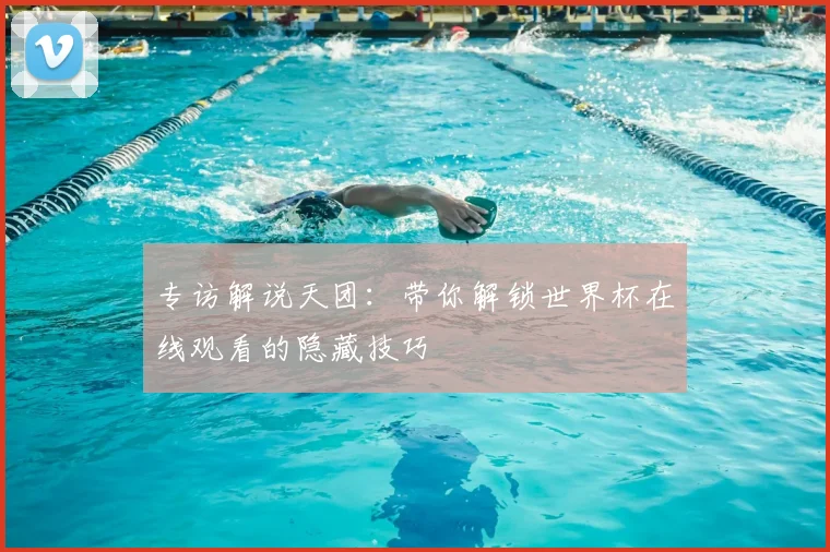 专访解说天团:带你解锁世界杯在线观看的隐藏技巧